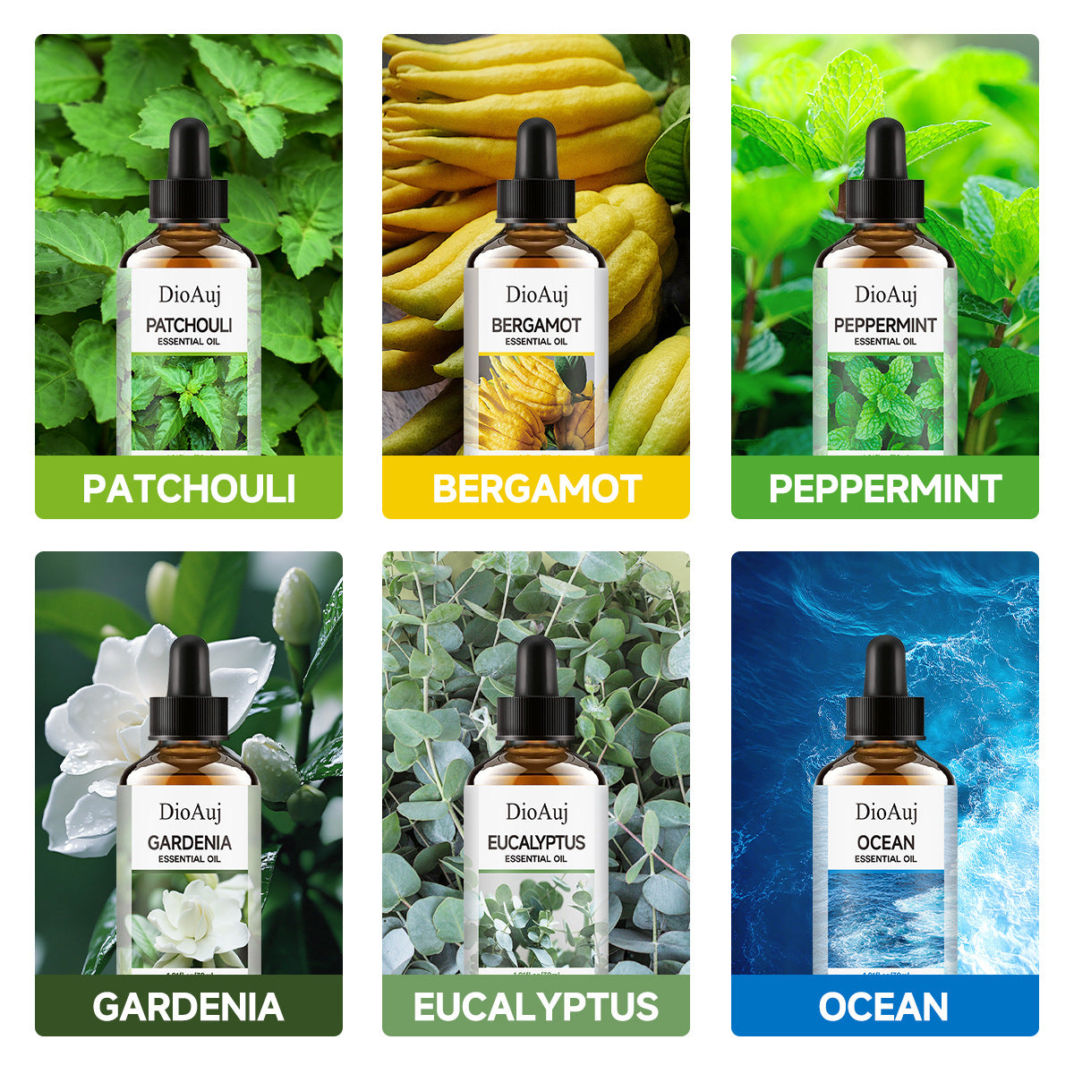 Plant Essence Aromatherapy