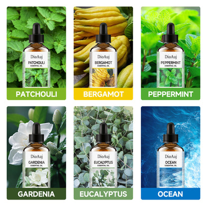 Plant Essence Aromatherapy